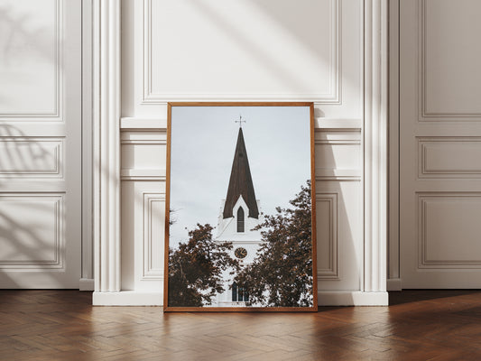 STELLIES THROUGH TIME AND TREES